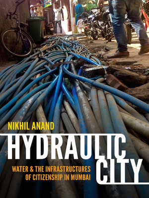 cover image of Hydraulic City